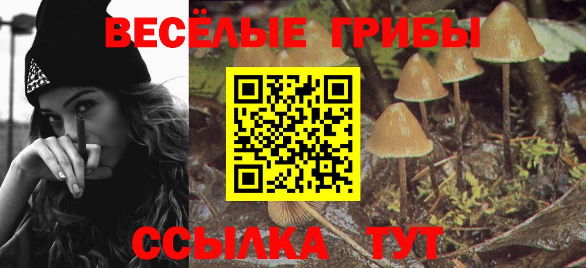 Галлюциногенные грибы прущие грибы  Вход с VPN  Узловая 